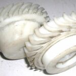 Turbine running and fixed impellers